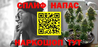 spice Кунгур