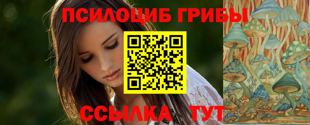 Галлюциногенные грибы Magic Shrooms Карачаевск