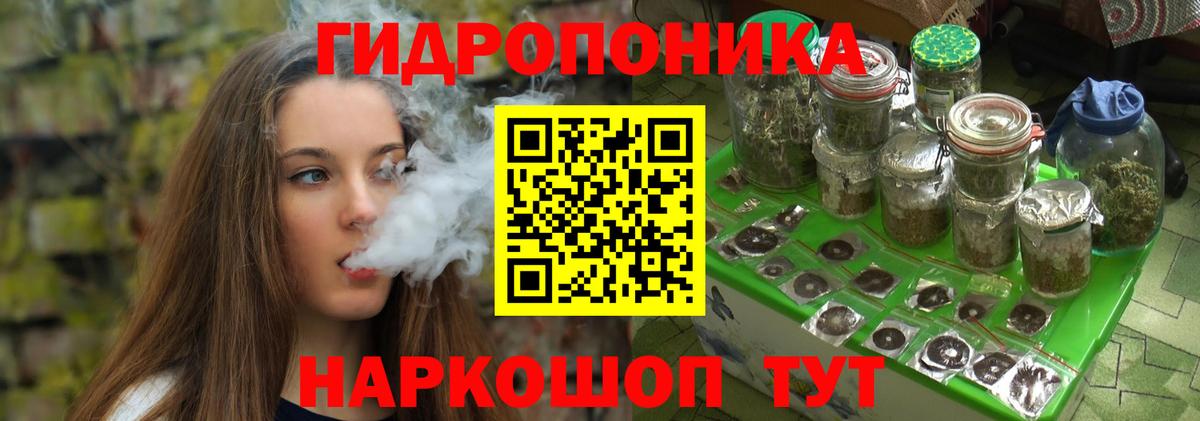 Шишки марихуана семена Карачаевск